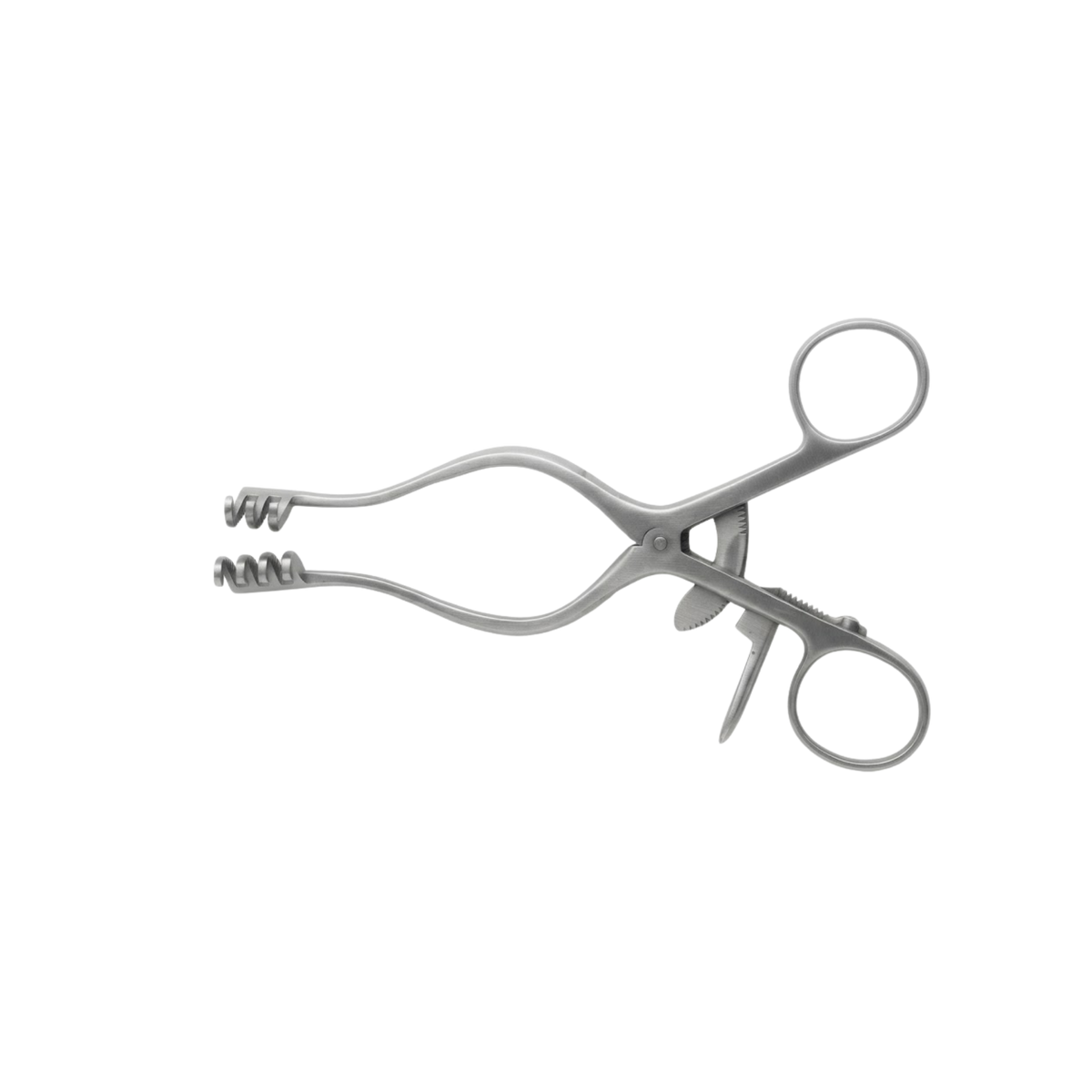 Écarteur Chirurgical Vétérinaire Weitlaner