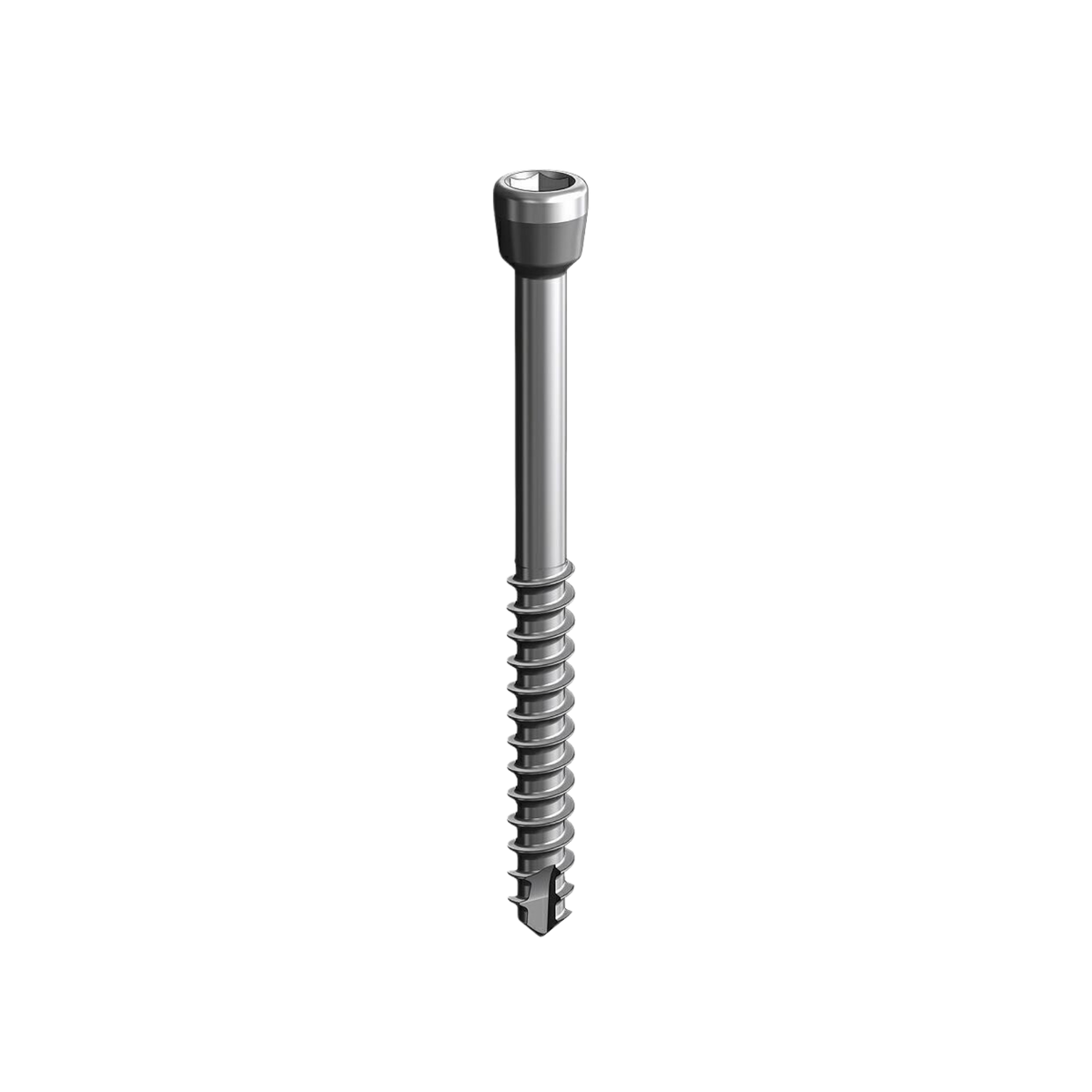 Vis coniques vétérinaires Ø 3.5 mm - Lot de 5