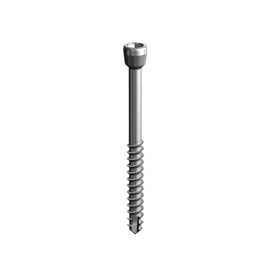 Vis coniques vétérinaires Ø 2.0 mm - Lot de 5