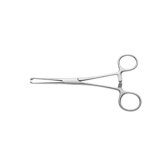 Pinces Hémostatiques Vétérinaires en Forme de T