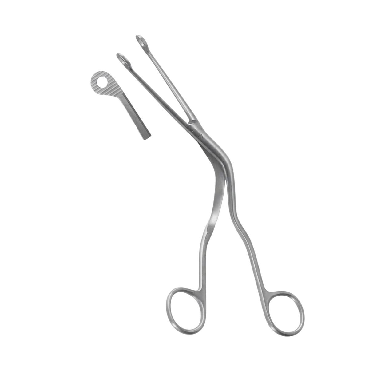 Pince de Magill Vétérinaire (Pince pour Intubation et Cathéter)